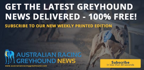 Introducing Australian Racing Greyhound’s first print edition