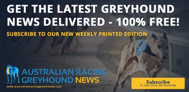 Introducing Australian Racing Greyhound’s first print edition