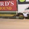 Maturity Classic the goal for Fast Times after Winter Cup triumph