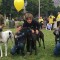 Greyhound racing could outmanoeuvre horse racing