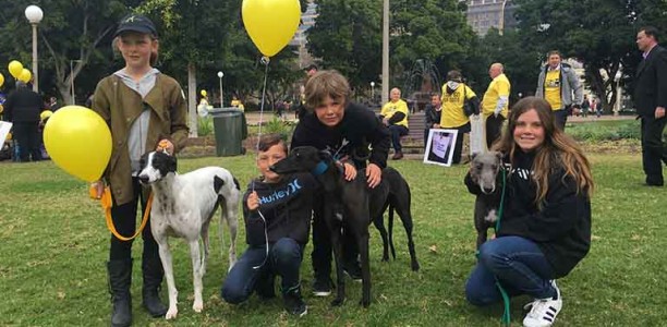Greyhound racing could outmanoeuvre horse racing