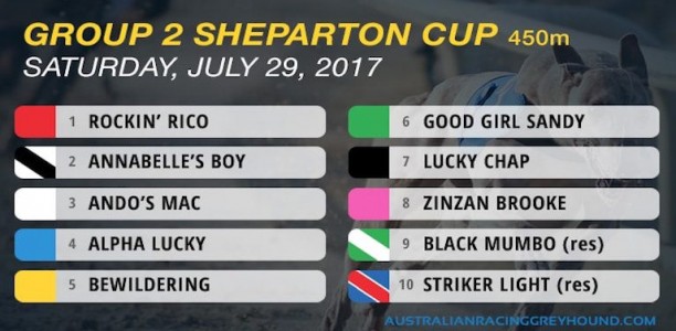 Sandy was a good girl in Group 2 Shepparton Cup heats