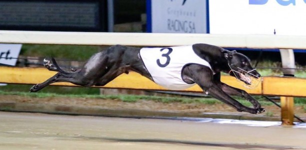 On Fire equals Worm Burner’s record for trainer Cameron Butcher