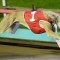 Bruce Tycoon the sentimental favourite for Victorian Sprint final