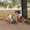 2017 Group 3 Darwin Cup won by Queenslander Off And On