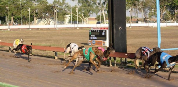 2017 Group 3 Darwin Cup won by Queenslander Off And On