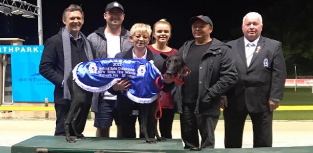Proctor’s Bekin Street to fly the flag for NSW in National Sprint