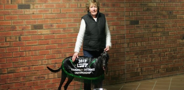 National Distance outsider looking for a fairytale finish