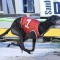 Can Outside Pass secure an elusive group 1 in National Distance?