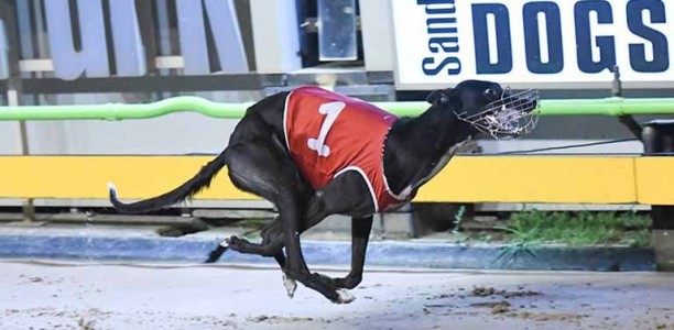 Can Outside Pass secure an elusive group 1 in National Distance?