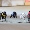 2017 Dapto Maiden series shaping up to be bigger than Ben Hur