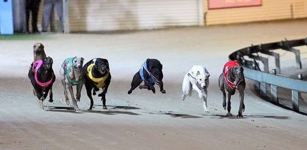 2017 Dapto Maiden series shaping up to be bigger than Ben Hur
