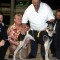 Rising six-year-old to celebrate his swansong at Ipswich