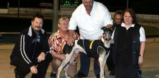 Rising six-year-old to celebrate his swansong at Ipswich
