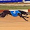 Vidi Vici out to upset top series chance in Townsville Cup heat