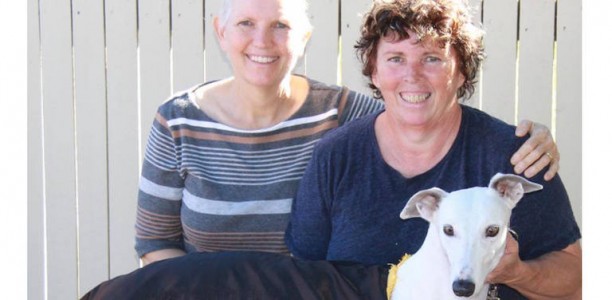 Cincinnati Lass to race for Cherish WCF in Townsville Cup heats