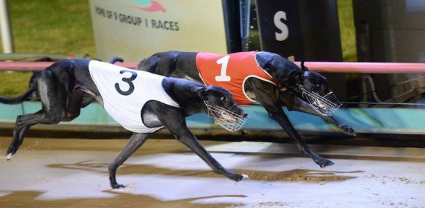 Garland says Billy’s Bake can cook up an upset in Chairman’s Cup