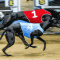 Tzouvelis praises Gadsby’s Road after upset Townsville Cup win