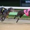 Hesa Marlow prevails to win inaugural Kings and Queens final