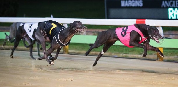 Hesa Marlow prevails to win inaugural Kings and Queens final