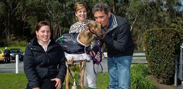 Zinzan Brooke sensational in Group 3 Healesville Cup