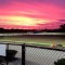 Trainers left frustrated with Richmond getting The Gardens races