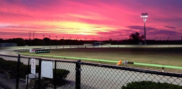 Trainers left frustrated with Richmond getting The Gardens races