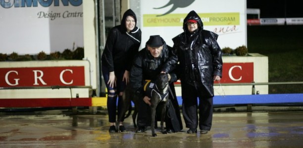 Winklee Dutchy aiming for six straight in Puppy Classic heats