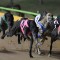 Sportsbet offering best odds for expert pick tonight at Warragul