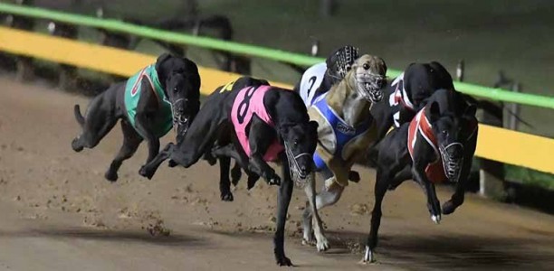 Sportsbet offering best odds for expert pick tonight at Warragul