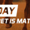 New bookmaker Neds.com.au is live and taking bets