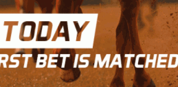 New bookmaker Neds.com.au is live and taking bets