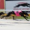 Young eyeing an upset in Eric Thomson Memorial final