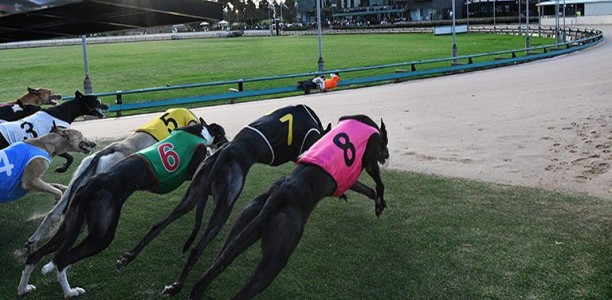 Best price for Sportsbet’s expert pick tonight at Warragul