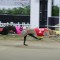 Reality Hawk poised to swoop in Hobart St Leger final