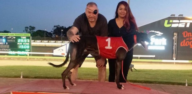 Greyhound racing gives new owner an escape from illness