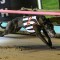 Chasin’ Crackers sets the pace in Group 1 Vic Peters Classic