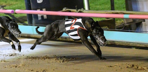 Chasin’ Crackers sets the pace in Group 1 Vic Peters Classic