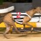 Former Victorian sets out to win Topgun Stayers for New Zealand