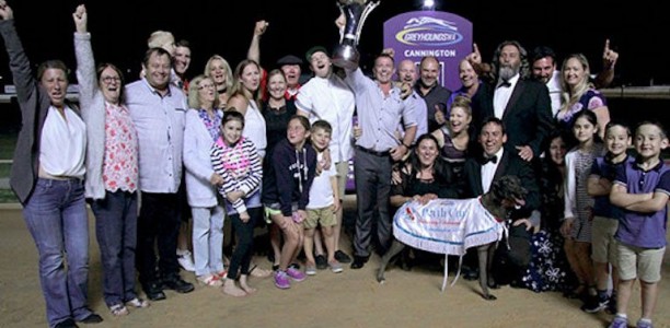 Crudeli’s Equanimity wins 2017 Group 2 All Stars Sprint