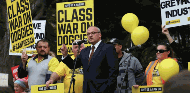 Report reveals truth about government’s anti-greyhound campaign