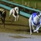 Rockoon ‘Rockets’ to Group 1 glory