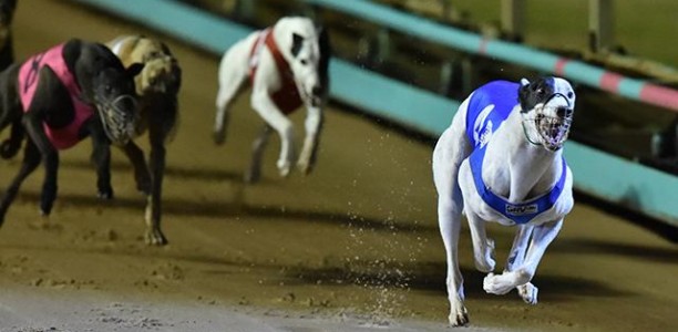 Rockoon ‘Rockets’ to Group 1 glory