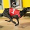 Ken Gill strikes gold in Group 3 Gawler Cup