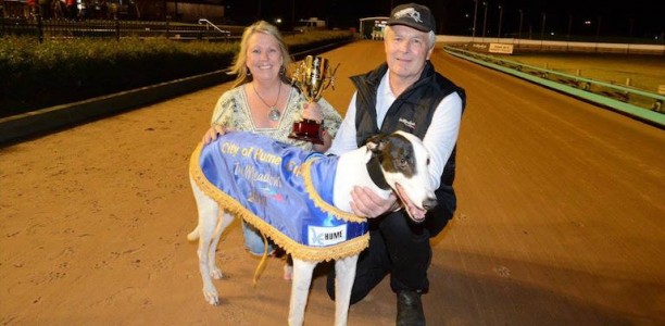 Can Rockoon complete the Hume Cup – Bold Trease double?