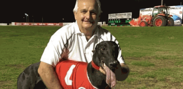 Sheez My Chicki a live chance in Listed Globe Memorial Maiden
