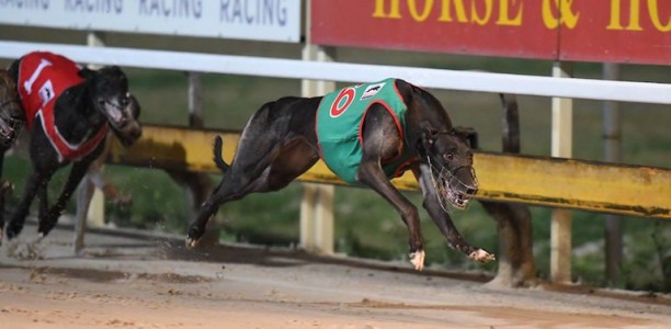 Off And On brilliant on debut at Ipswich ahead of Group 3 Cup