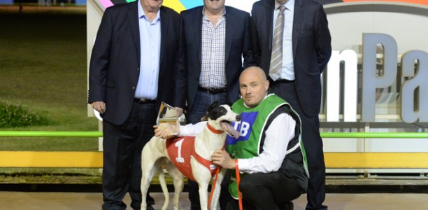 Ready 2 Race Sales give owner plenty to yap about
