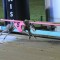 Veteran trainer looking for career milestone in Melbourne Cup