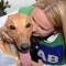 Back to culture: why greyhound racing was attacked